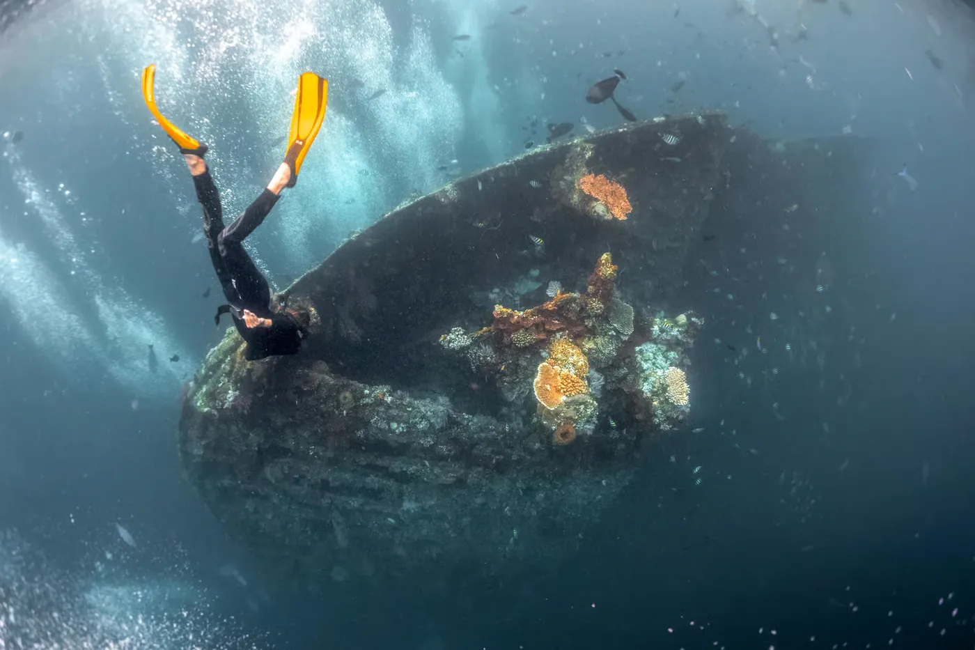 Snorkeling sur l'épave de l'USAT Liberty à Tulamben