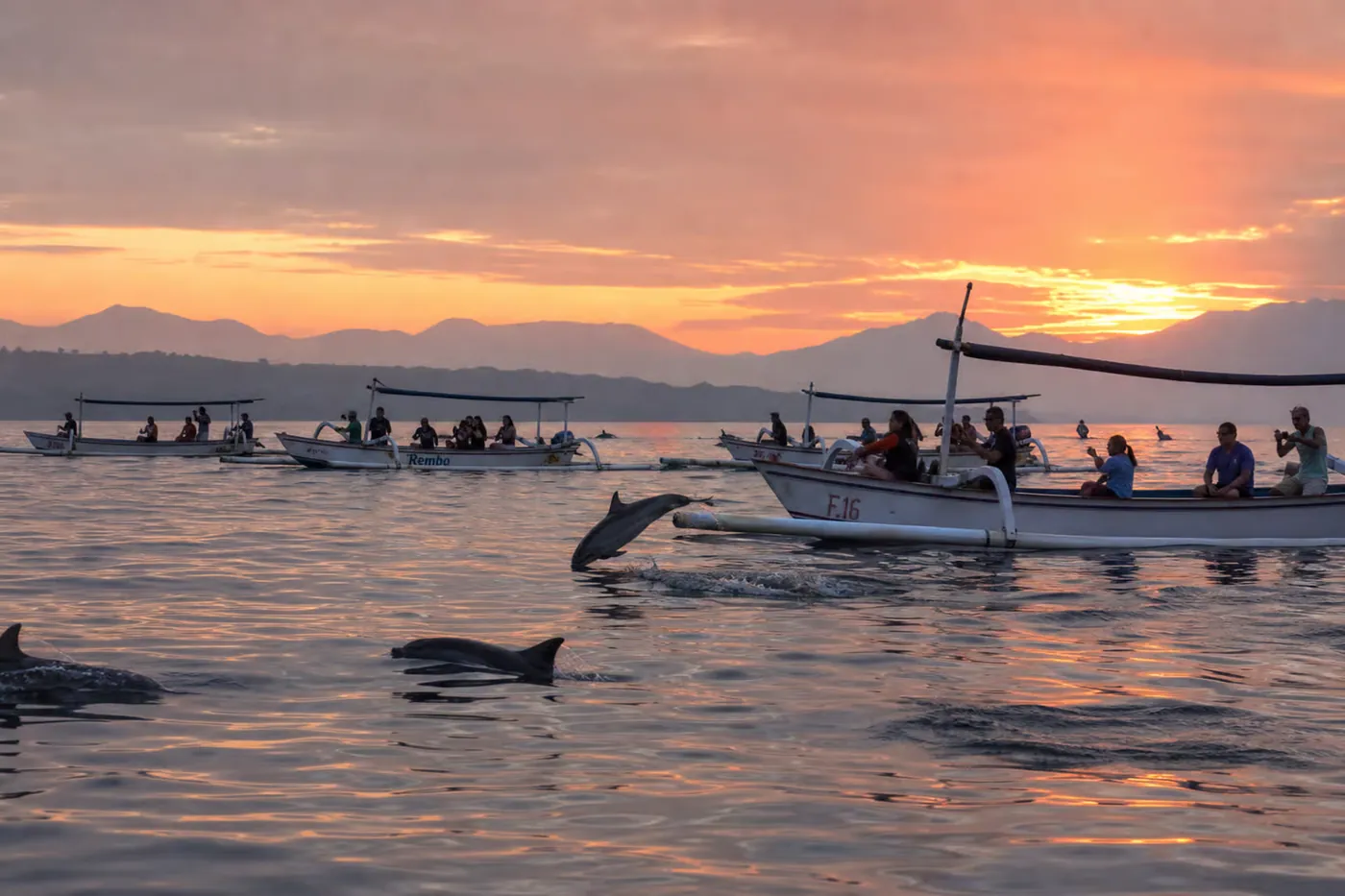 Observation des dauphins à Lovina